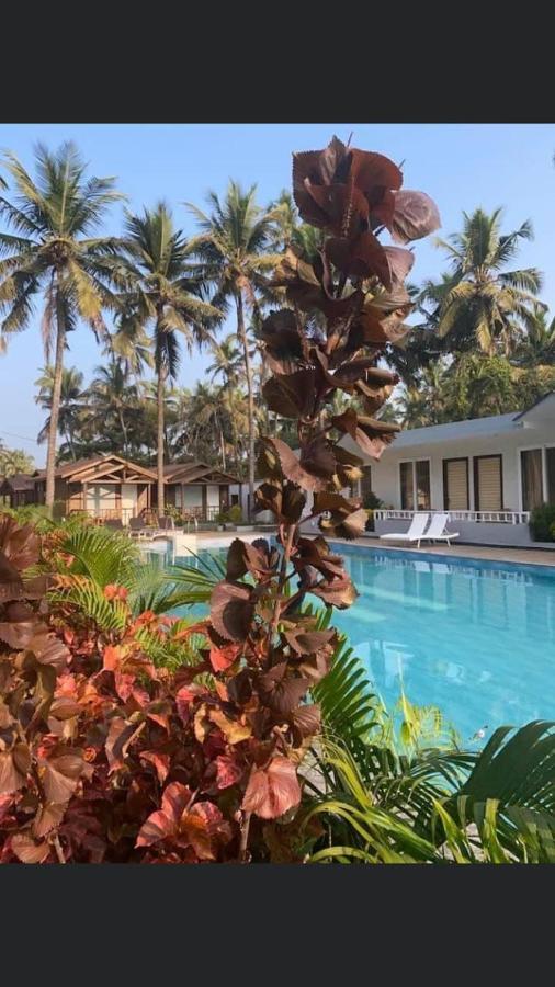 Golden Sands Resort, Morjim Exterior photo